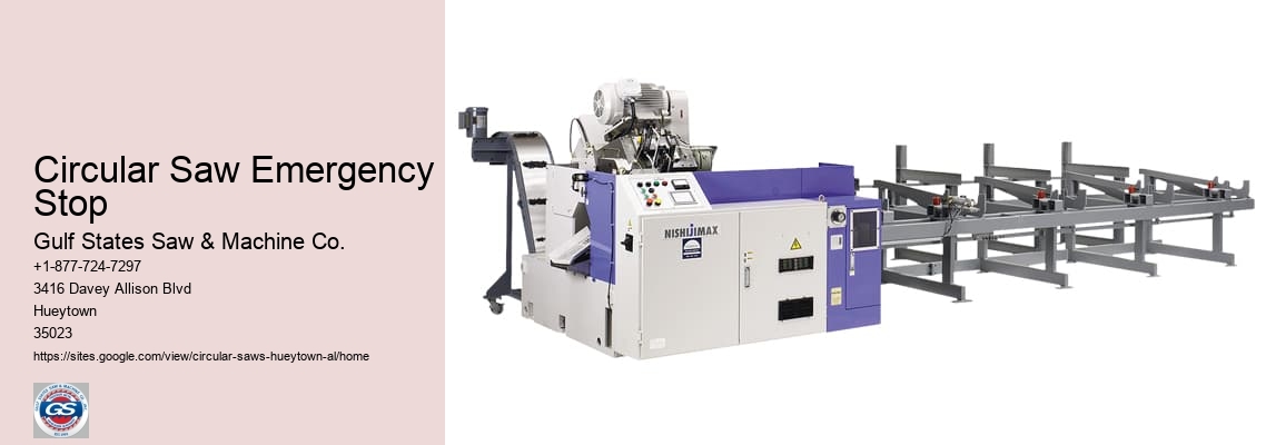 Best Value Circular Saws